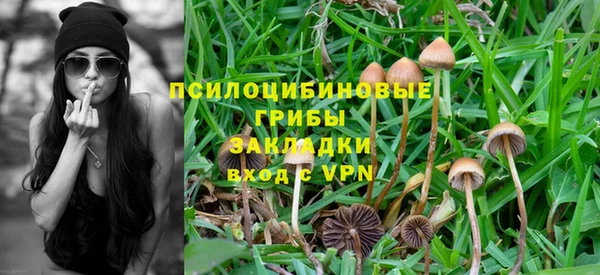 герыч Михайлов