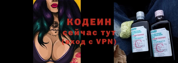 мяу мяу мука Михайловск