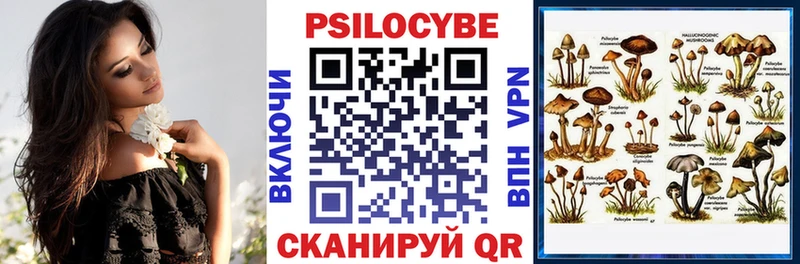 Псилоцибиновые грибы Cubensis  Купить закладки  Сосновка 